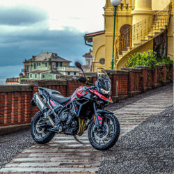 Triumph Tiger